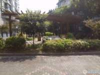棋杆花苑实景图，拍摄于2024/11/26