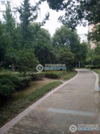 国泰四季花园实景图，拍摄于2024/11/26