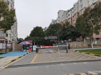 国泰四季花园实景图，拍摄于2024/11/26