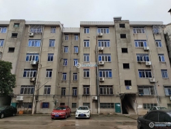 �Ž��´����