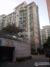 金水湾花园实景图，拍摄于2024/11/26