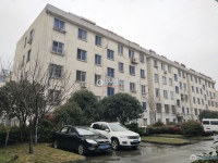 健康新村实景图，拍摄于2024/11/27