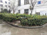 健康新村实景图，拍摄于2024/11/27