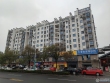 紫竹庭园实景图，拍摄于2024/11/27