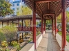紫竹庭园实景图，拍摄于2024/11/27