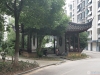 紫竹庭园实景图，拍摄于2024/11/27