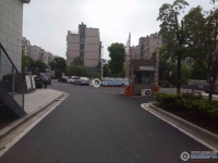 农联花园实景图，拍摄于2024/11/27