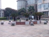 河畔美墅实景图，拍摄于2024/11/27