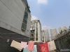 南丰四季花苑实景图，拍摄于2024/11/27