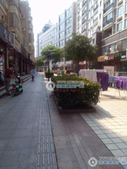 ��Է�����