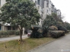 御景花园实景图，拍摄于2024/11/27