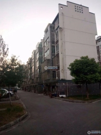 金都花苑一期实景图，拍摄于2024/11/28