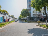 金都花苑一期实景图，拍摄于2024/11/28