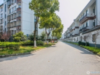 金都花苑一期实景图，拍摄于2024/11/28