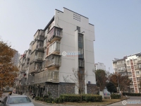 金都花苑一期实景图，拍摄于2024/11/28