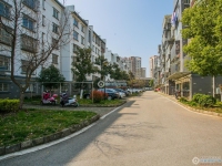 金都花苑一期实景图，拍摄于2024/11/28