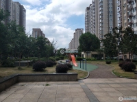 金都花苑一期实景图，拍摄于2024/11/28