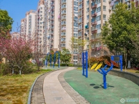 金都花苑一期实景图，拍摄于2024/11/28