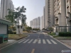 金都花苑一期实景图，拍摄于2024/11/28