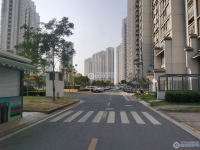 金都花苑一期实景图，拍摄于2024/11/28