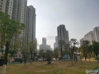 金都花苑一期实景图，拍摄于2024/11/28