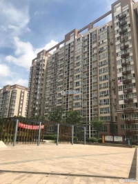金都花苑一期实景图，拍摄于2024/11/28