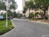 金都花苑一期实景图，拍摄于2024/11/28