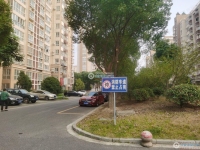 金都花苑一期实景图，拍摄于2024/11/28