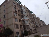 乘航骏马苑实景图，拍摄于2024/11/28