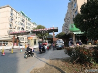 乘航骏马苑实景图，拍摄于2024/11/28