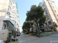 乘航骏马苑实景图，拍摄于2024/11/28