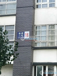 金成小区二期实景图，拍摄于2024/11/28