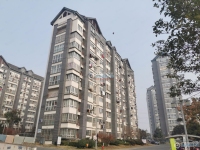 金成小区二期实景图，拍摄于2024/11/28