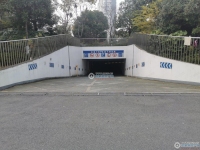 金成小区二期实景图，拍摄于2024/11/28