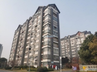 金成小区二期实景图，拍摄于2024/11/28