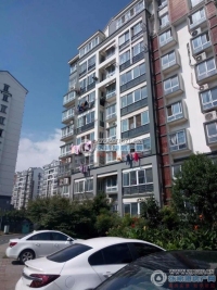 金成小区一期实景图，拍摄于2024/11/28