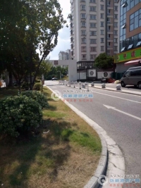 金成小区一期实景图，拍摄于2024/11/28