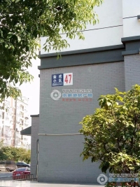 金成小区一期实景图，拍摄于2024/11/28