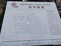金成小区一期实景图，拍摄于2024/11/28