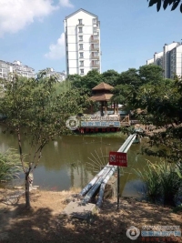 金成小区一期实景图，拍摄于2024/11/28