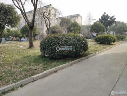 ����Է���