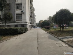����Է���