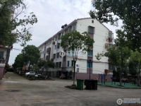 晨阳小区实景图，拍摄于2024/11/28