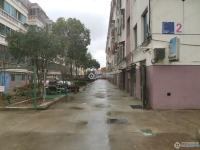 晨阳小区实景图，拍摄于2024/11/28