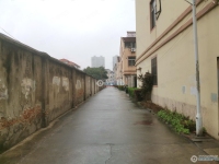 金港上耀小区实景图，拍摄于2024/11/28