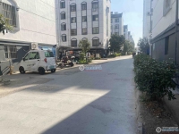 锦丰向阳二村实景图，拍摄于2024/11/28