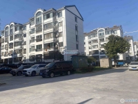 锦丰向阳二村实景图，拍摄于2024/11/28