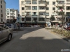 锦丰向阳二村实景图，拍摄于2024/11/28