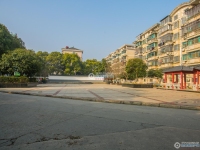中南社区实景图，拍摄于2024/11/28