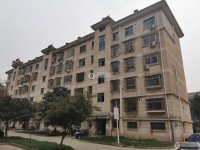 中南社区实景图，拍摄于2024/11/28
